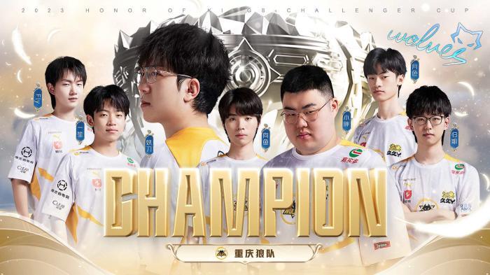 维尼修斯