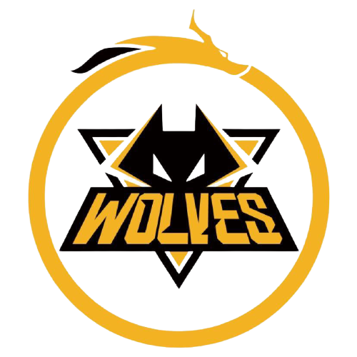 言辞情绪化 言辞情绪化