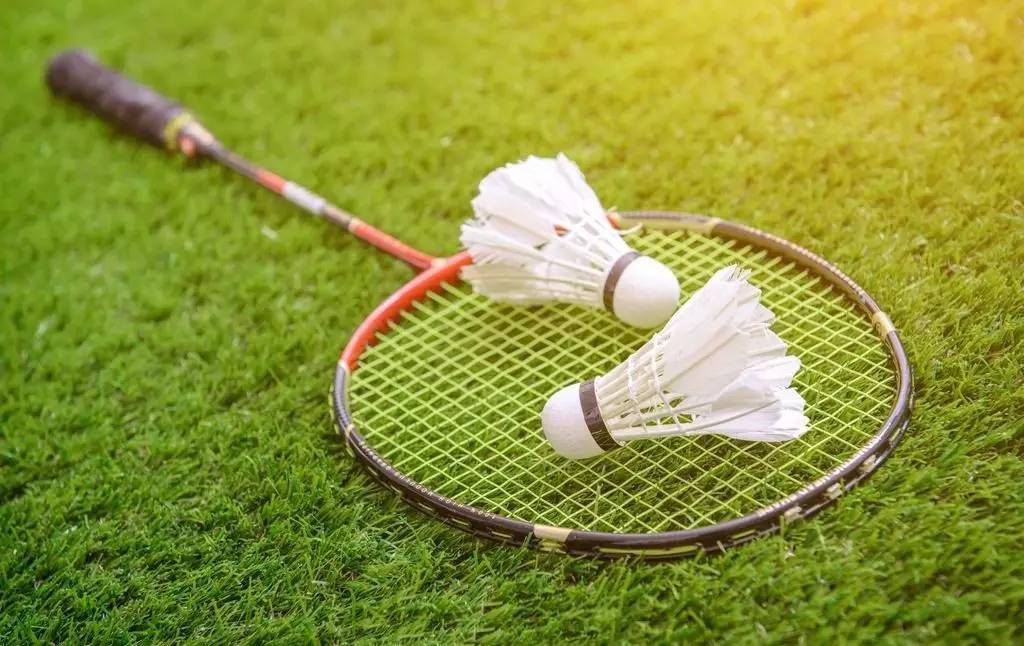 中国女排将 中国女排将