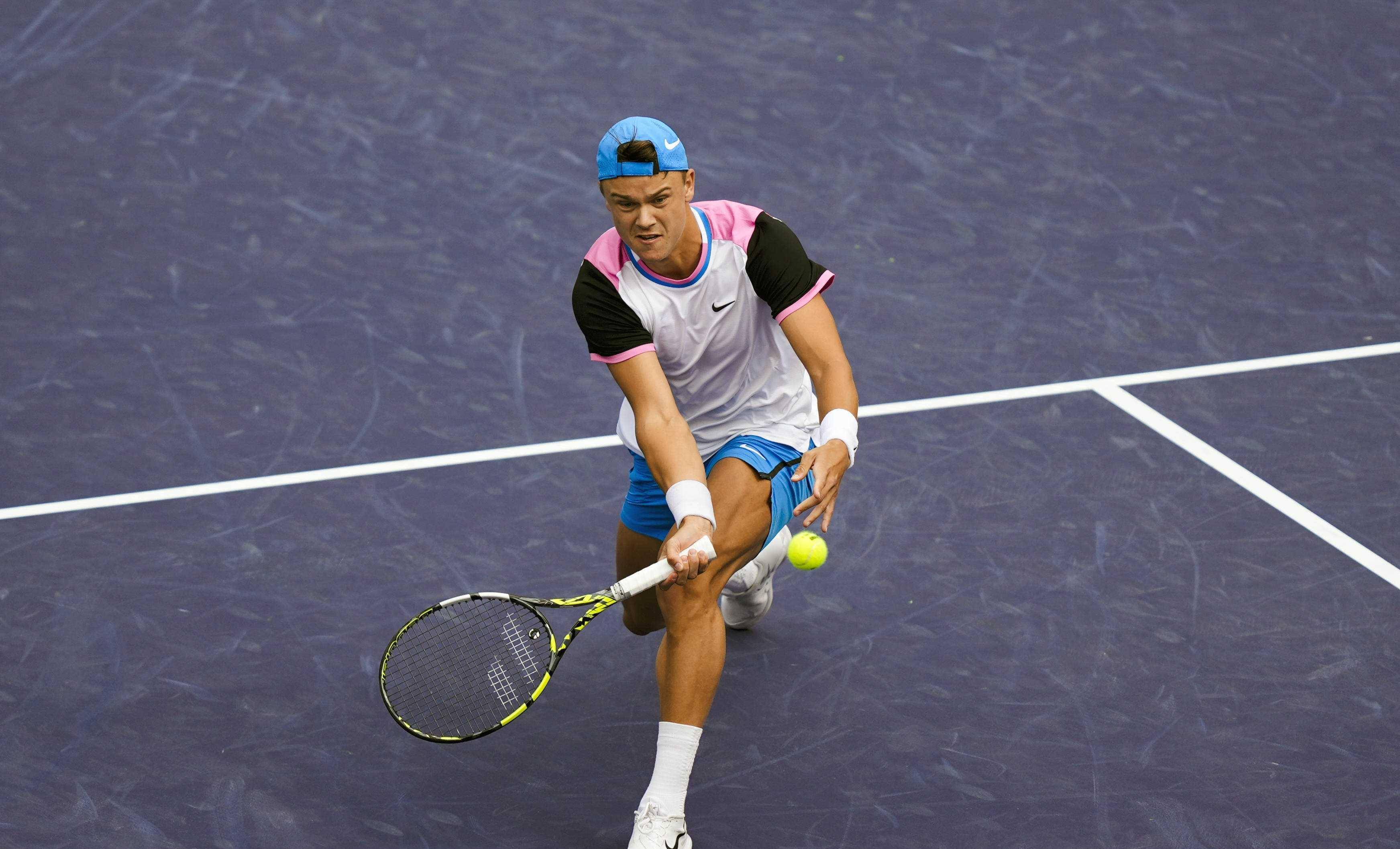 可能会将目 可能会将目