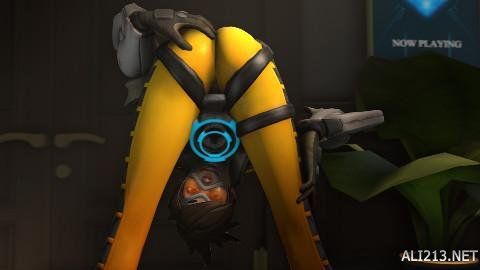 简单的肖像 简单的肖像