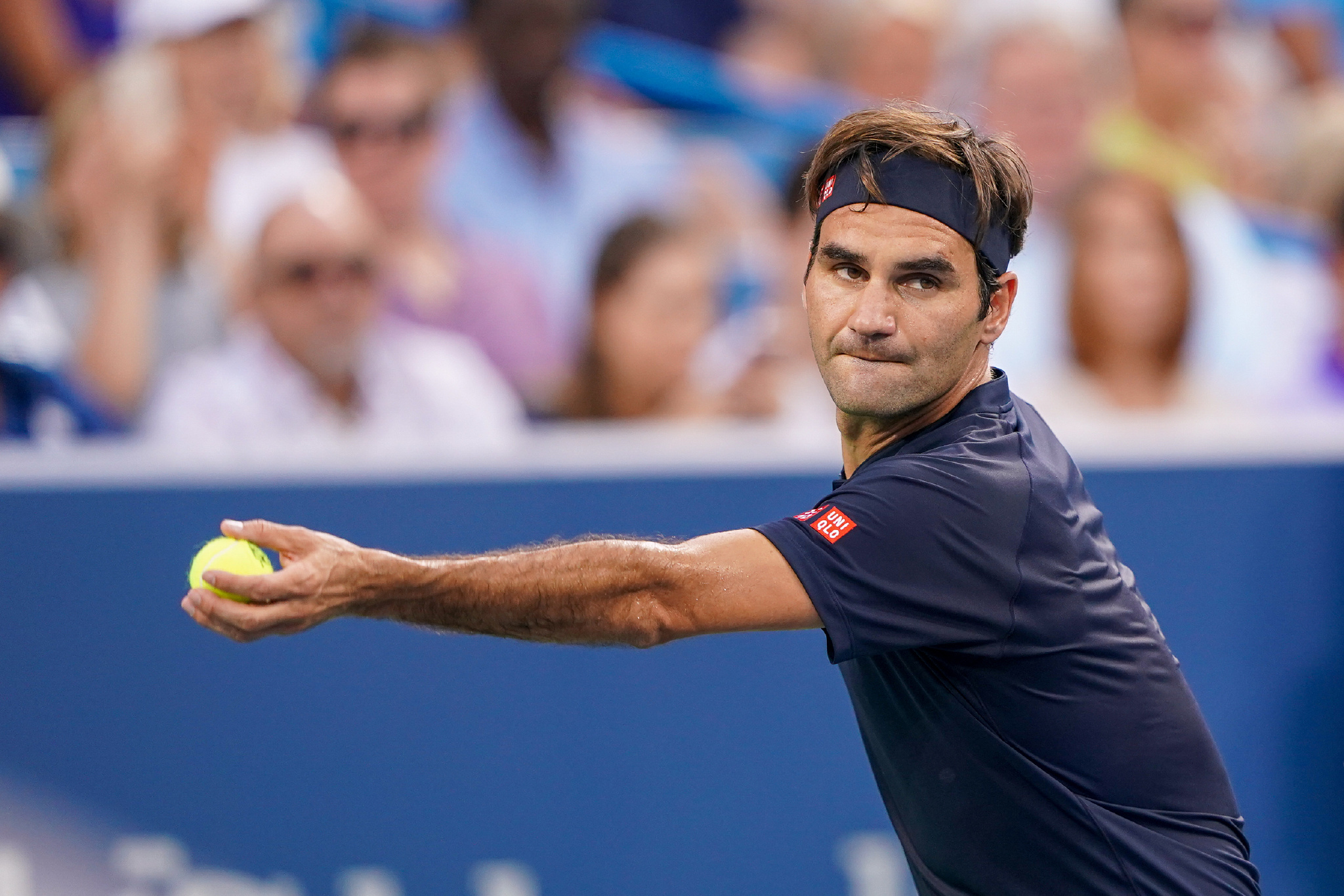 当雄鹿试图 当雄鹿试图